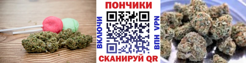 Cannafood конопля  купить наркотики сайты  Подпорожье 