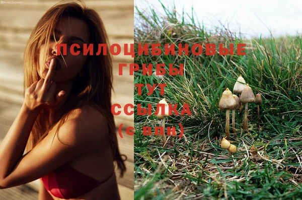 MESCALINE Покровск